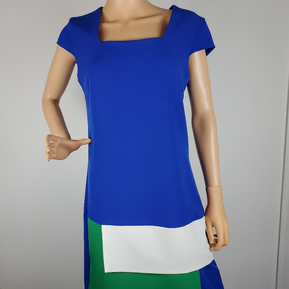 Sharagano dress